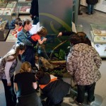 L’insectarium toujours grouillant