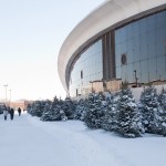 Où sont nos sapins de Noël?