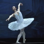 Le ballet sans y laissez des plumes!