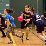 Quidditch au Vieux Montréal