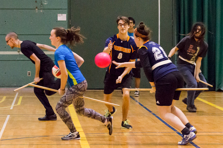 Quidditch au Vieux Montr al CHAMPS LIBRES