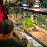 Les reptiles envahissent le collège de Maisonneuve