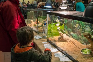 Le Salon des Reptiles 2014