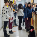 Nouvel étudiant canin au programme de photo du Vieux