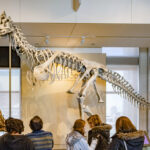 Le Musée canadien de la nature à Ottawa